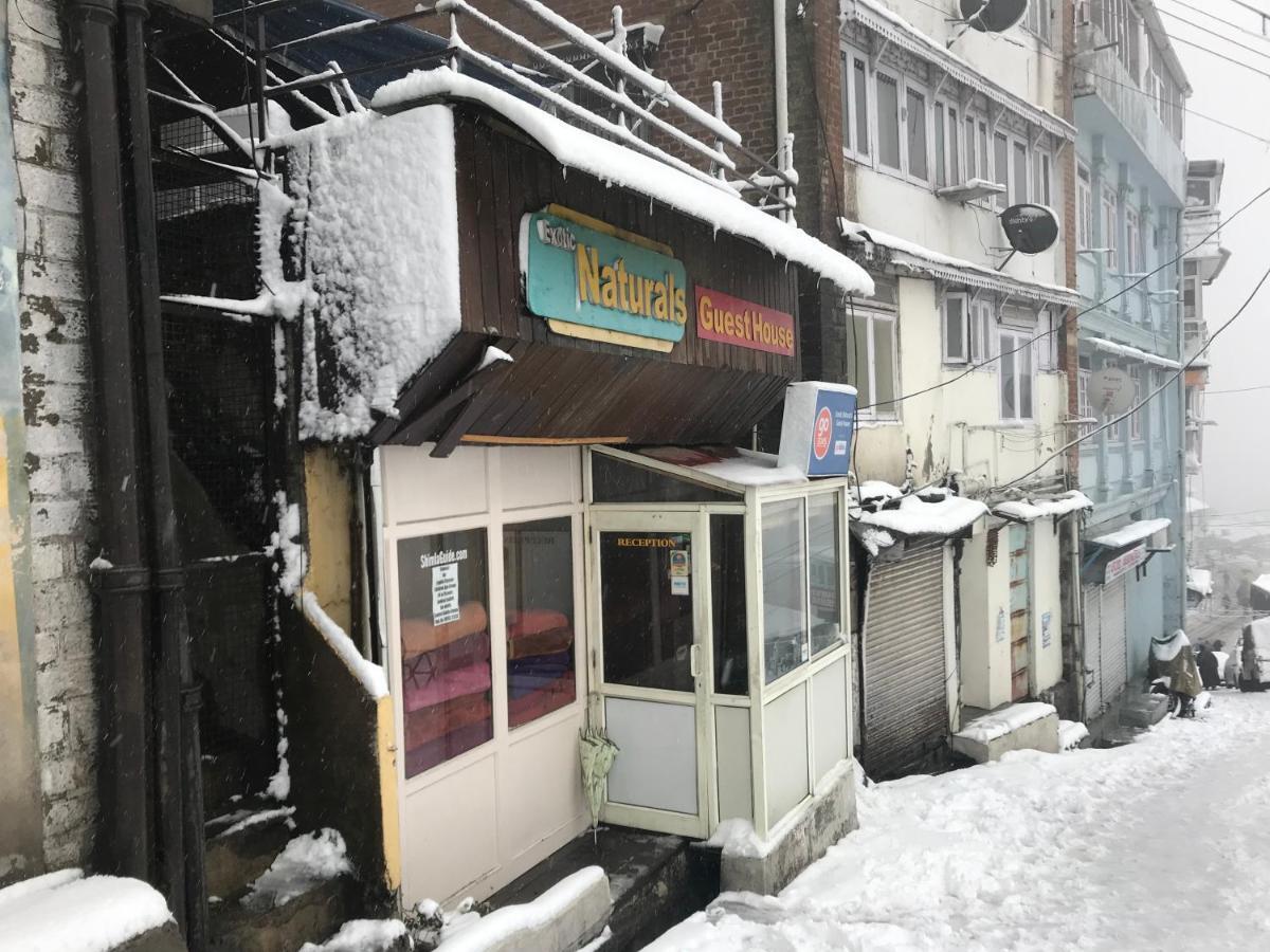 Exotic Naturals Guest House Shimla Ngoại thất bức ảnh