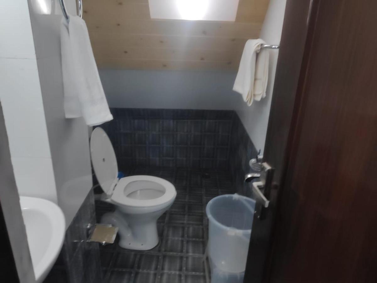 Exotic Naturals Guest House Shimla Ngoại thất bức ảnh